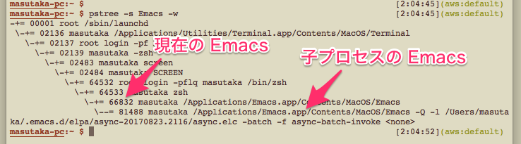 START-FUNC 実行中の Emacs プロセスの様子
